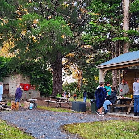 Zeehan Bush Camp Exterior foto